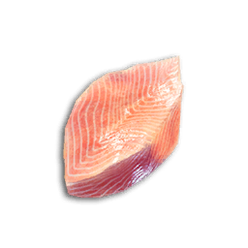 Saltwater Fish Fillet, Icarus Wiki