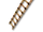 Reinforced Ladder