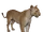 Cougar