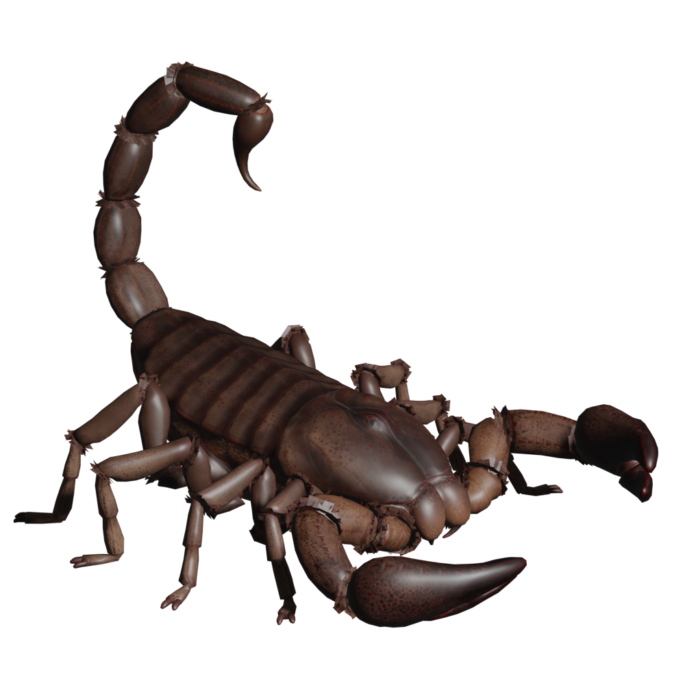Scorpion, Icarus Wiki