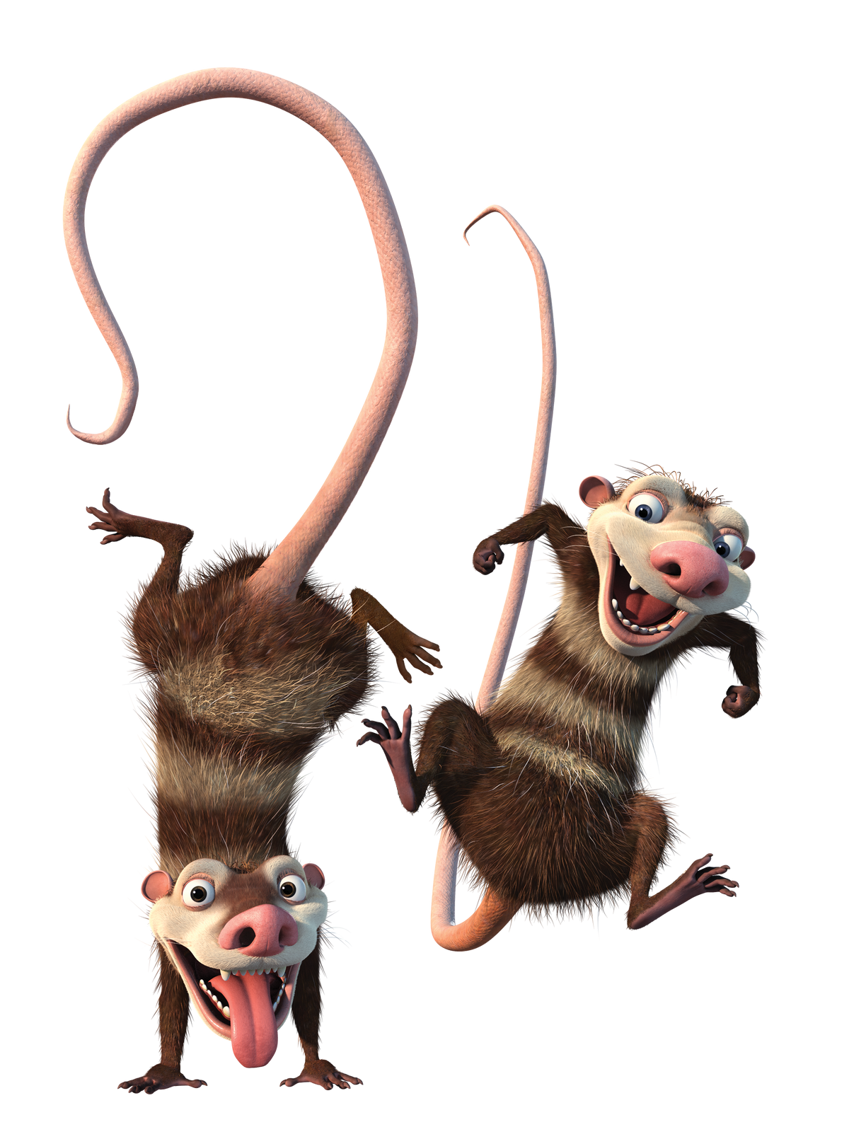 Crash and Eddie Ice Age fanom Wiki Fandom