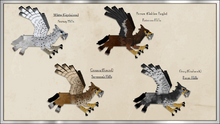 Hippogryph Patterns P2.png