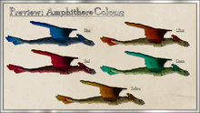 Amphithere Colors