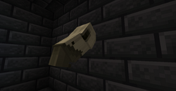 Amphithere Skull 2