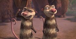 Crash And Eddie Gallery Ice Age Wiki Fandom