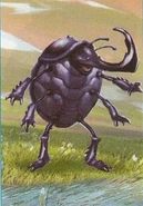 Beetle.jpg (41 KB)