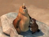 Beaver Dad