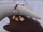 Manny's Necklace