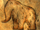 Die Top Testsieger - Finden Sie bei uns die Mammut ice age Ihrer Träume