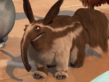 Aardvark Dad