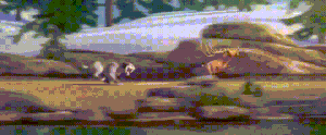 Shira chases an elk.gif