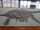 Ichthyosaur