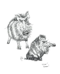 Concept Art of Dobson