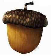 Scrat's Acorn