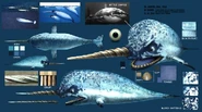 Narwhals concept art.png (736 KB) Final color of Narwhal