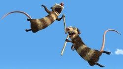 Crash And Eddie Gallery Ice Age Wiki Fandom