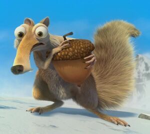 Scrat and acorn