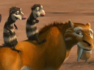 Crash and Eddie on Diego's back