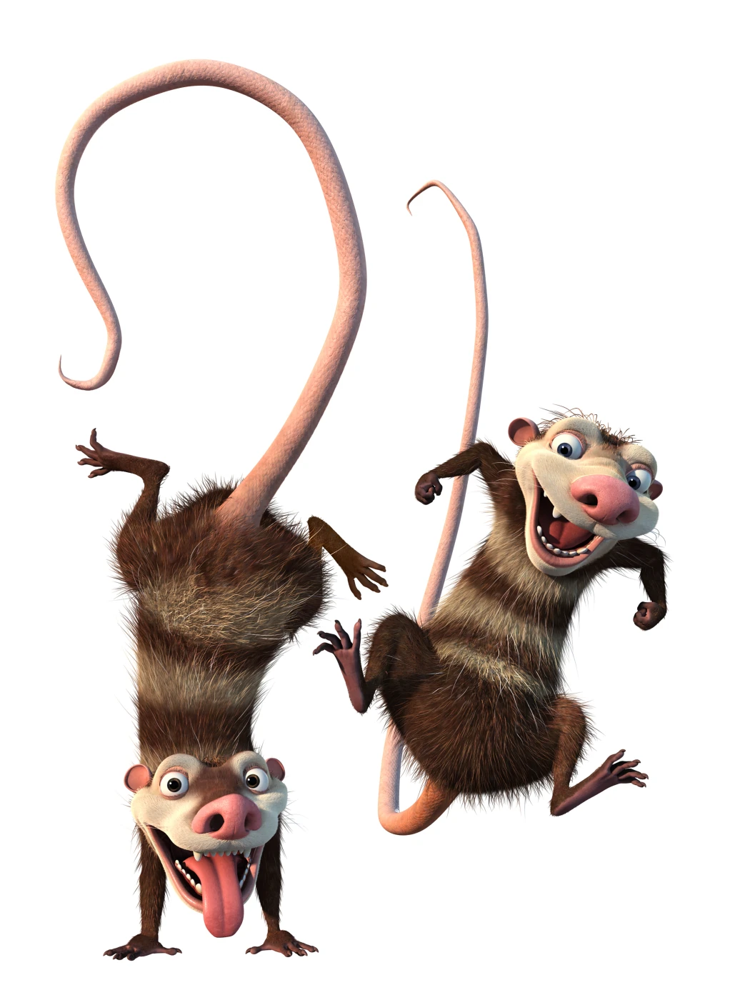 Crash and Eddie/Gallery Ice Age Wiki Fandom