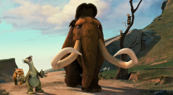 Manny Ice Age Wiki Fandom Powered By Wikia - Manny Era Do Gelo Transparent  PNG - 591x608 - Free Download on NicePNG