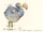 Dodo/Gallery