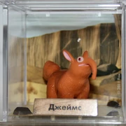 Джеймс в "Ледниковом периоде коллекции животных"