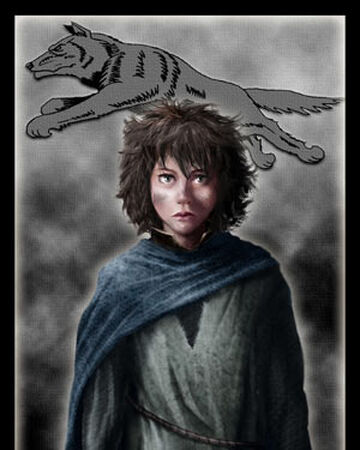 Arya Stark A Song Of Ice And Fire Wiki Fandom