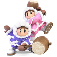 Ice climbers ssbu