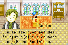 Harvest Moon Friends Of Mineral Town Ice Crown Server Wikia Fandom