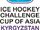2014 IIHF Challenge Cup of Asia – Division I