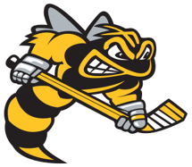 Sarnia Sting Official Logo