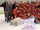 2013-14 WSHL season
