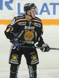 Lehtivuori Joonas Ilves