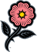 Prairie Wild Rose
