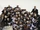 2008-09 BCHL Season