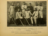1896-97 AAHL season