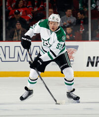 Stars Gonchar