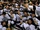 2013-14 ECAC Hockey Season