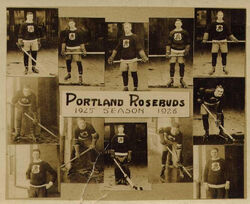 Portland Rosebuds