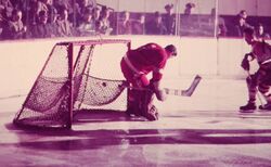 56 best Terry Sawchuk images on Pholder