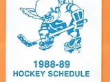Dubuque Fighting Saints (1980-2001)