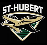 SthubertjetsLogo.jpg
