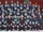 1995–96 Hartford Whalers season