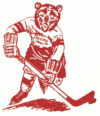 Authentic Vintage Reebok Hershey Bears Garrett Mitchell Hockey Jersey