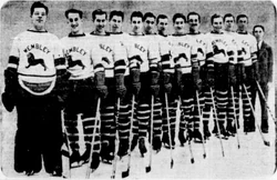 Wembley Lions