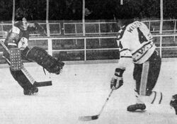 Gerry Cheevers, Ice Hockey Wiki