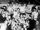 1963-64 LSL season