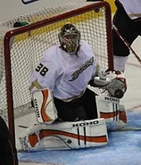 Dan Ellis Ducks.jpg (13 KB) Dan Ellis