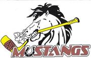 Morell Mustangs.jpg