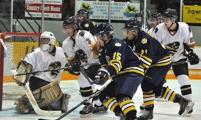 Bisons-at-lakehead-2010-2